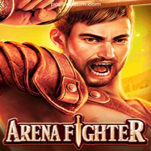 ArenaFighter: A Comprehensive Overview